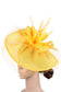 [Daffodil]