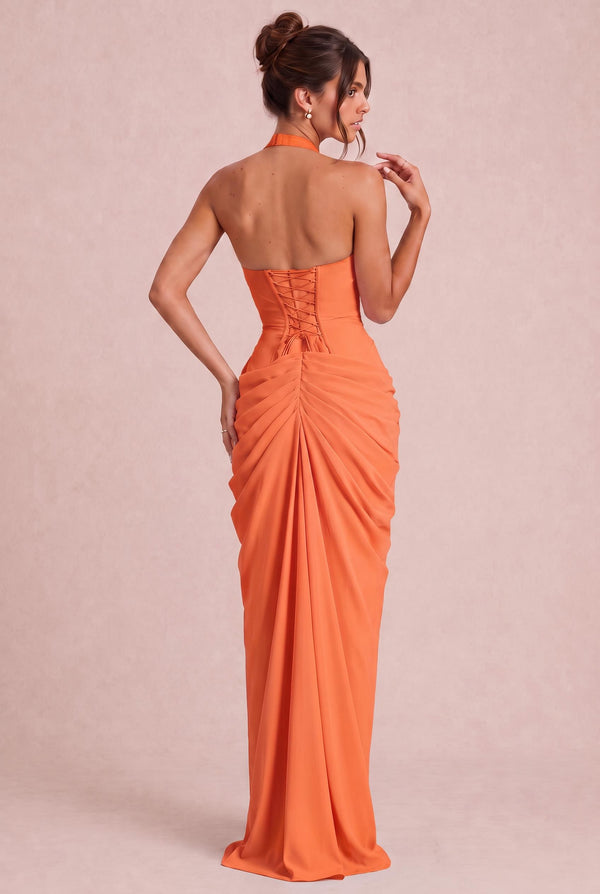 [Apricot]
