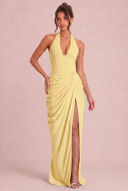 [Daffodil]