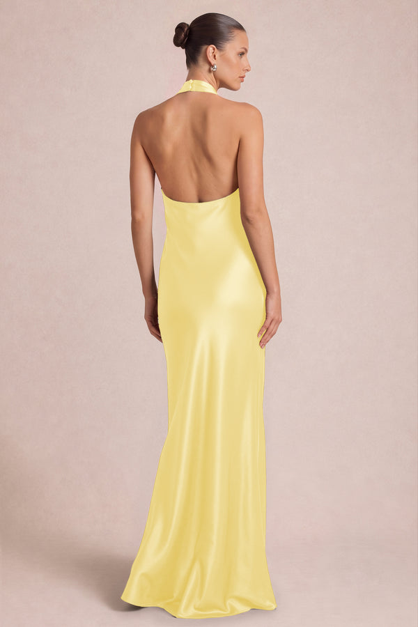 [Daffodil]