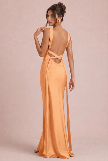 [Apricot]