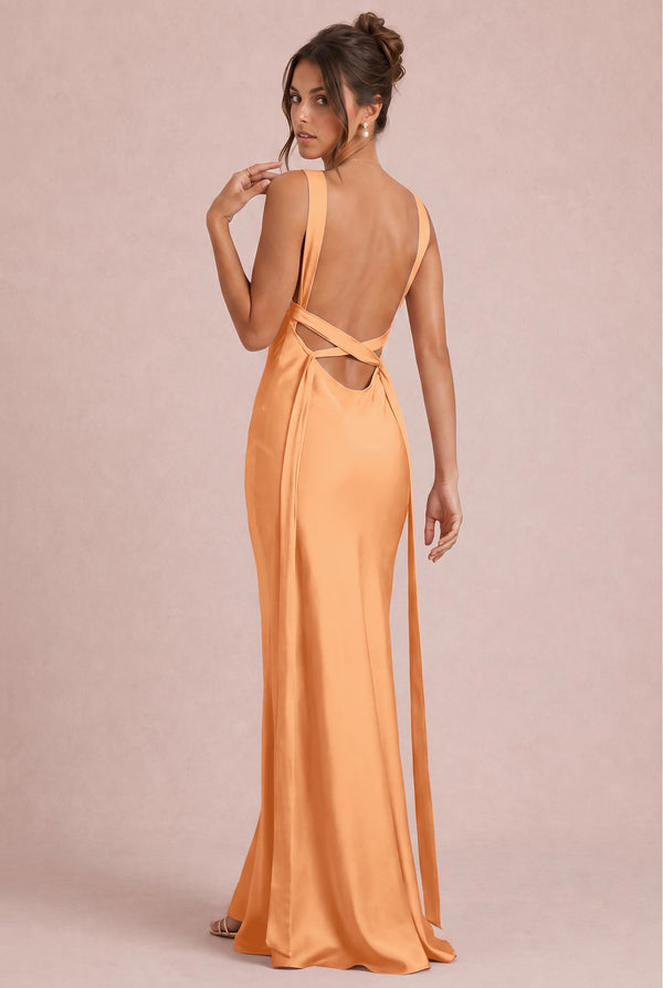 [Apricot]