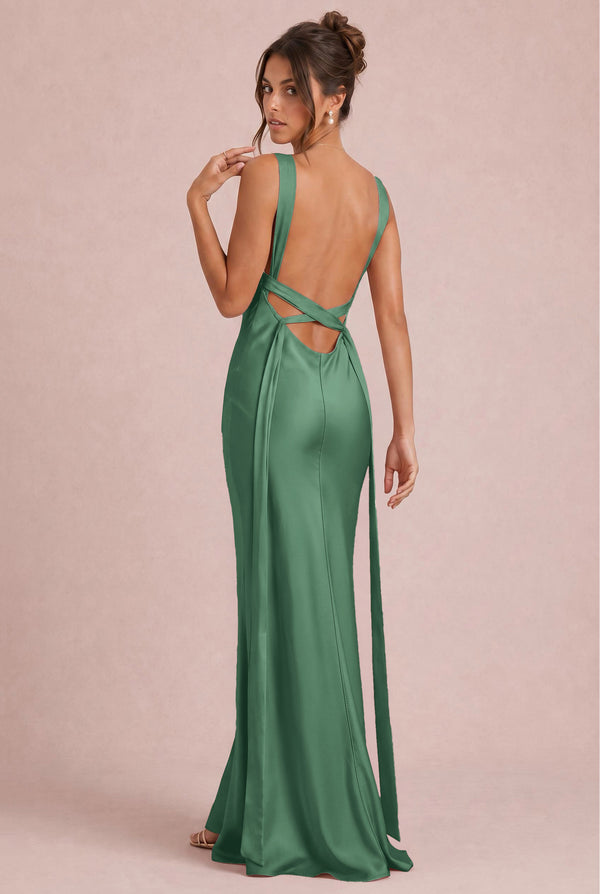 [Eucalyptus]