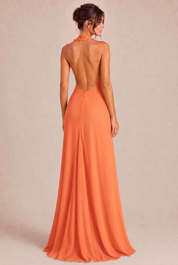 [Apricot]