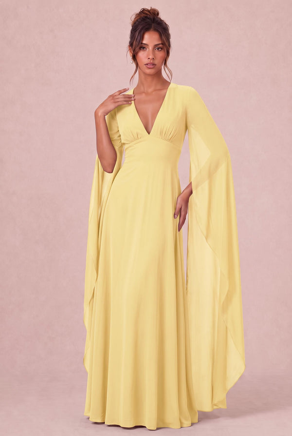 [Daffodil]