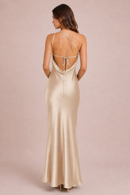 [Neutral Champagne]