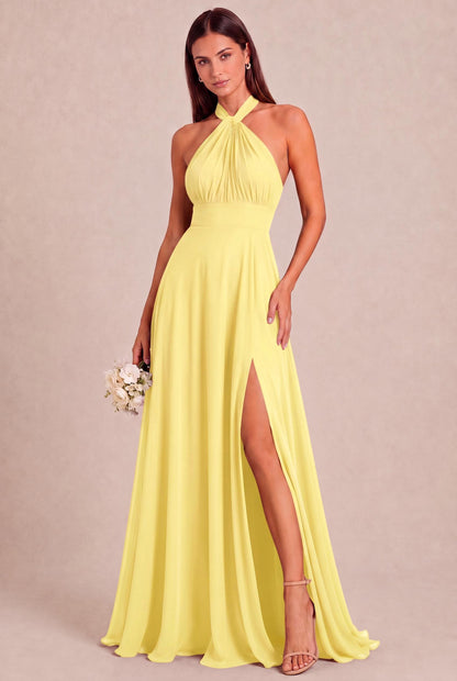 [Daffodil]