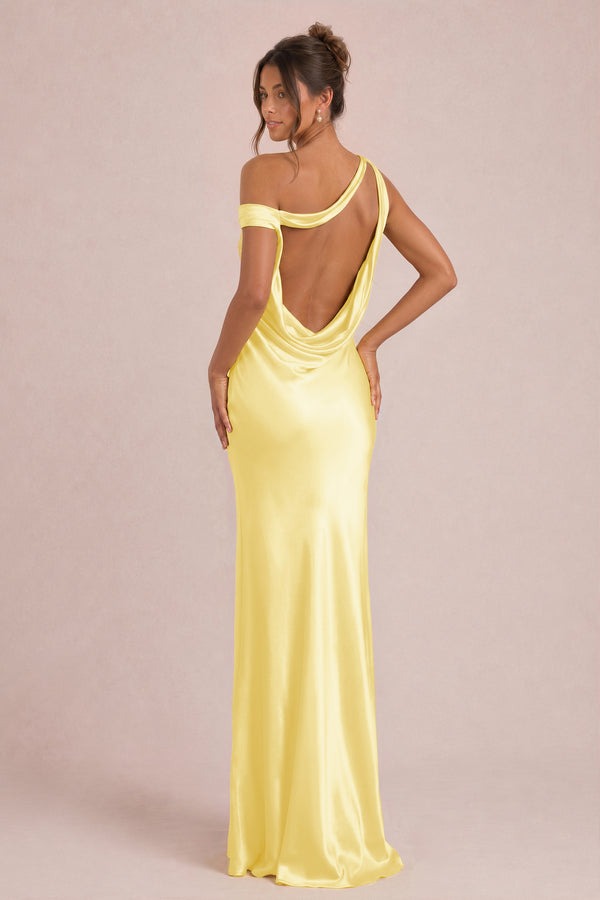 [Daffodil]