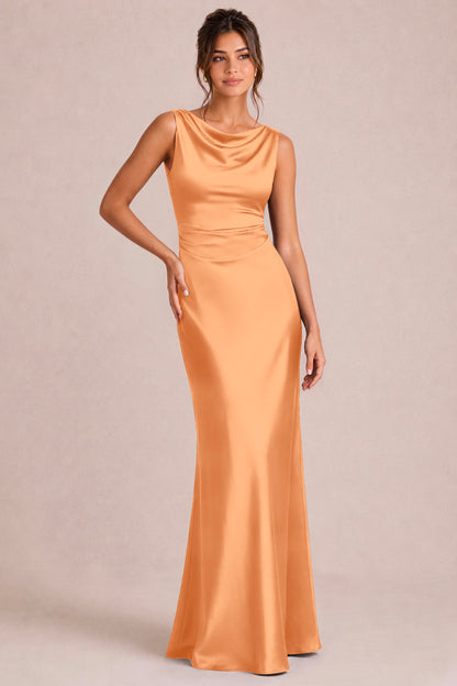 [Apricot]
