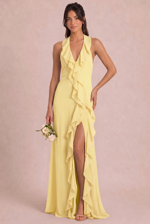 [Daffodil]