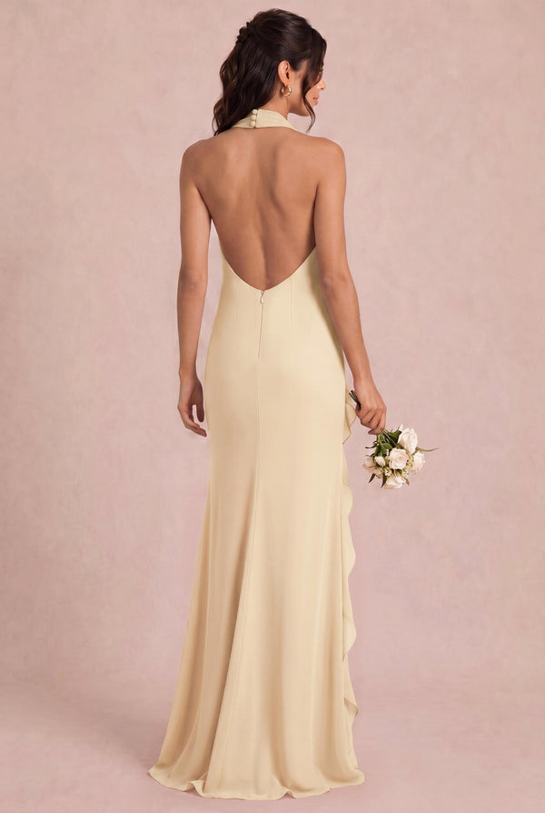 [Neutral Champagne]