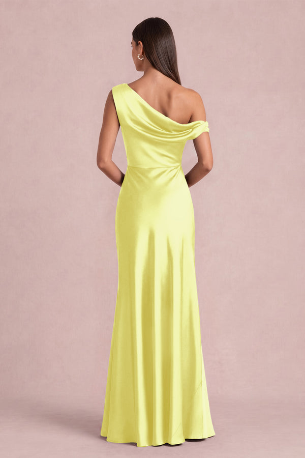 [Daffodil]