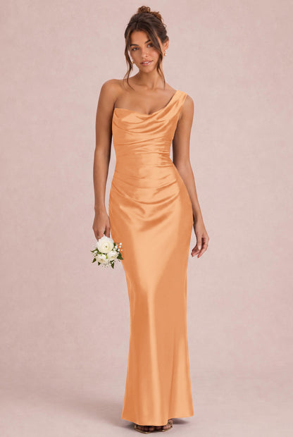 [Apricot]