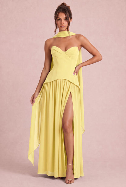 [Daffodil]