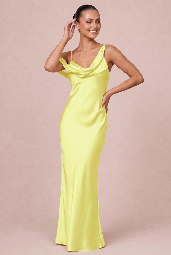 [Daffodil]