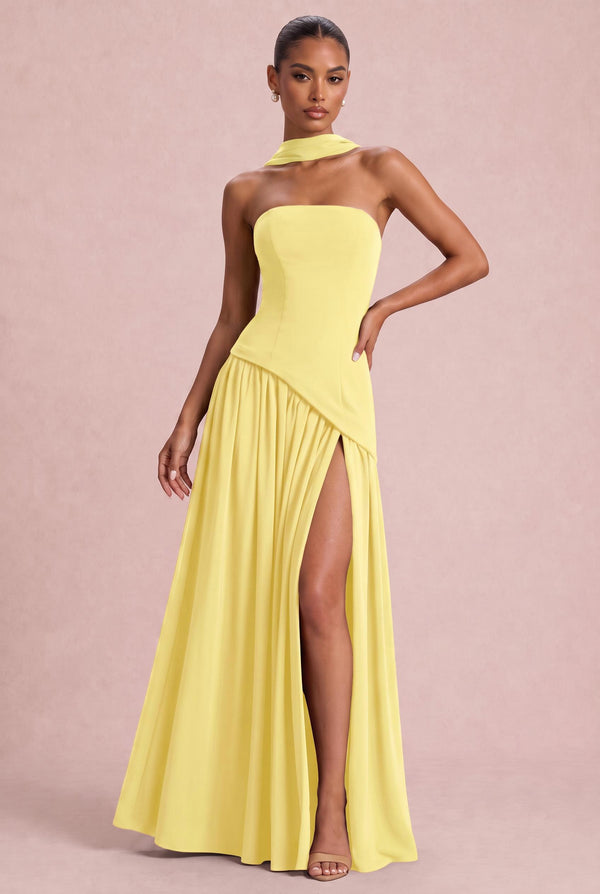 [Daffodil]