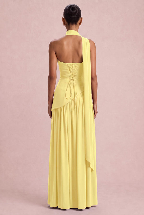[Daffodil]