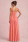 [Salmon Pink]