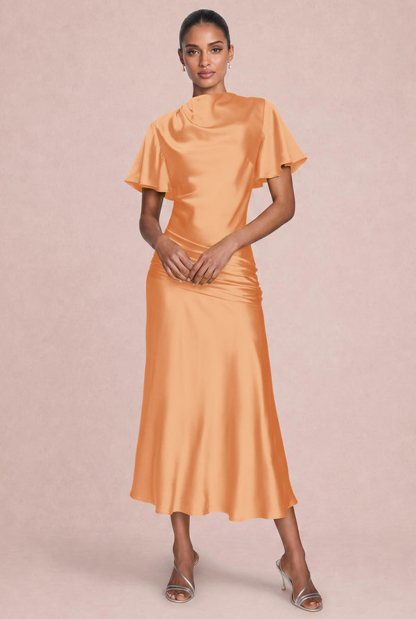 [Apricot]
