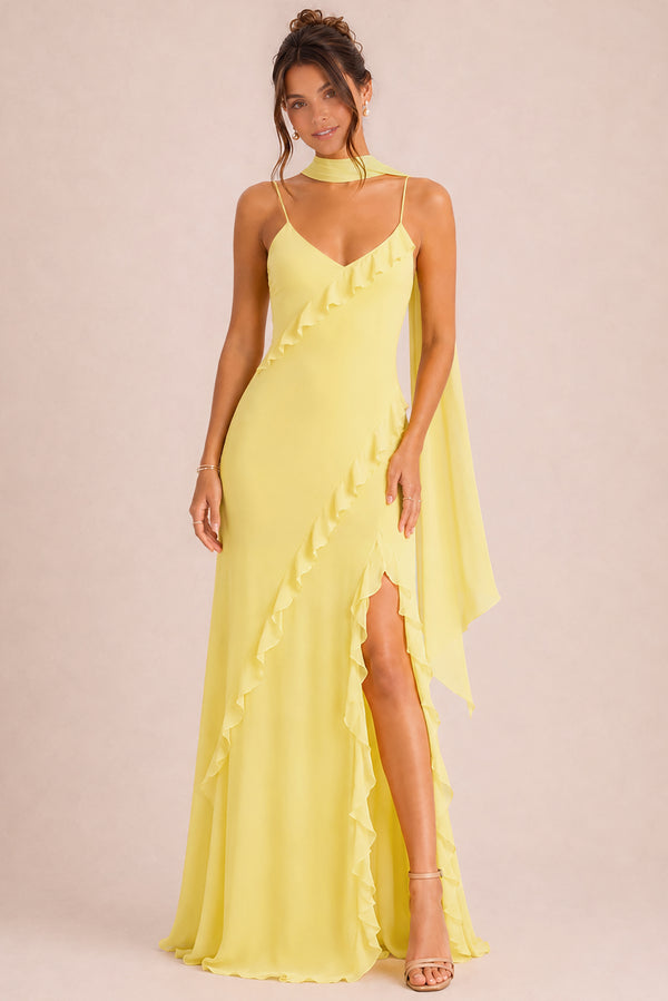 [Daffodil]