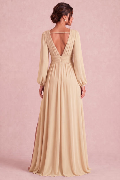 [Neutral Champagne]